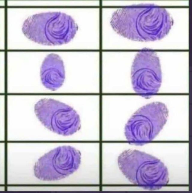 how to draw a rose petal step by step