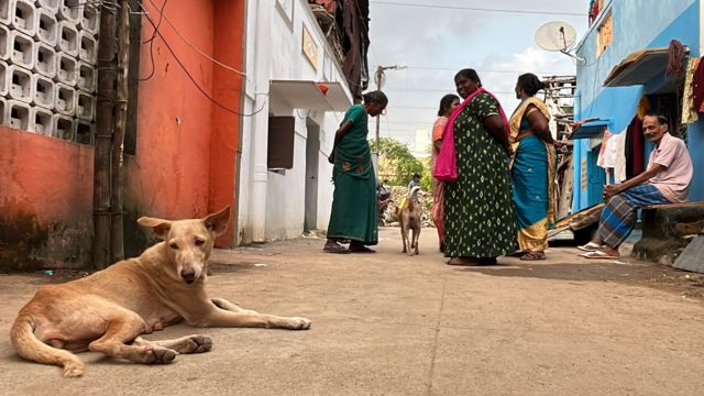 சென்னை வெள்ளம், அரசு மருத்துவமனை, குழந்தை
