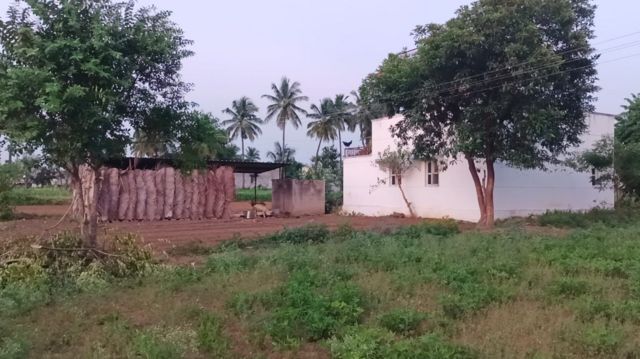 மயானத்துக்கு செல்ல சாலை வசதி இல்லை