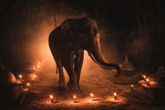 யானை, இந்து மதம்