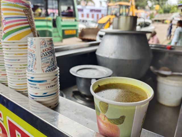 புறணிச் செடி