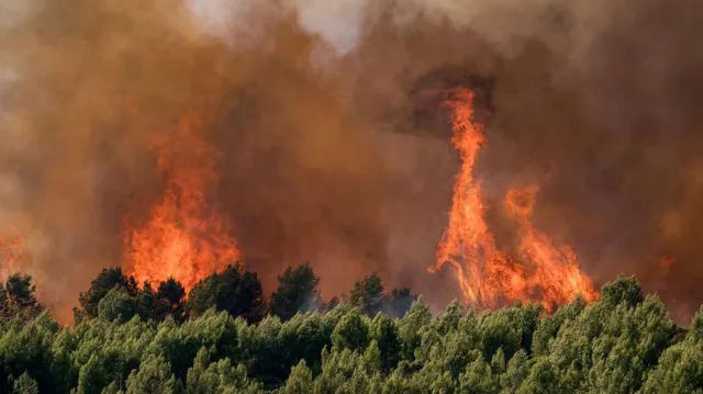 Wildfire burning on a hillside in southern Europe during the July 2026 heatwave