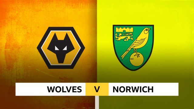 Wolves v Norwich graphic