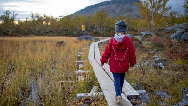 Kesejahteraan anak