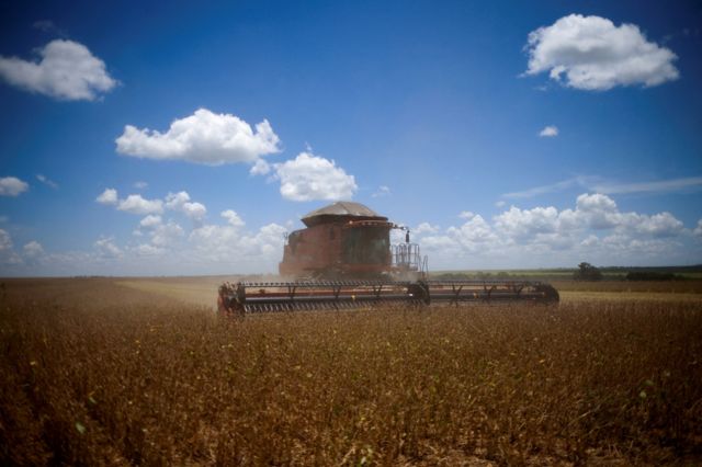 Máquina trabalhando em fazenda em Goiás