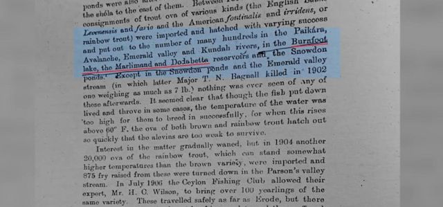 நீலகிரி, ட்ரௌட் மீன், பர்ன்ஃபூட் ஏரி