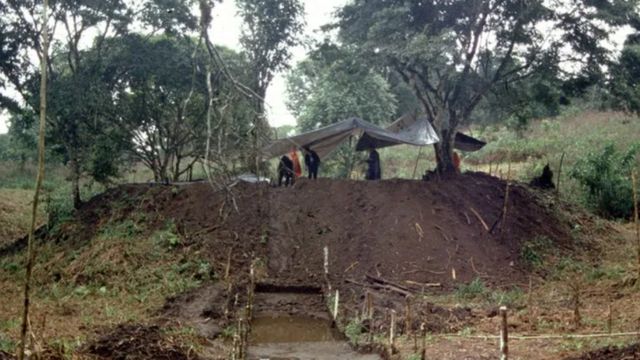 அமேசான் காடு