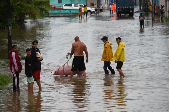 Gente camina por una calle inundada, uno de ellos llevando un cerdo con correa, en Batabanó, provincia de Mayabeque, Cuba.