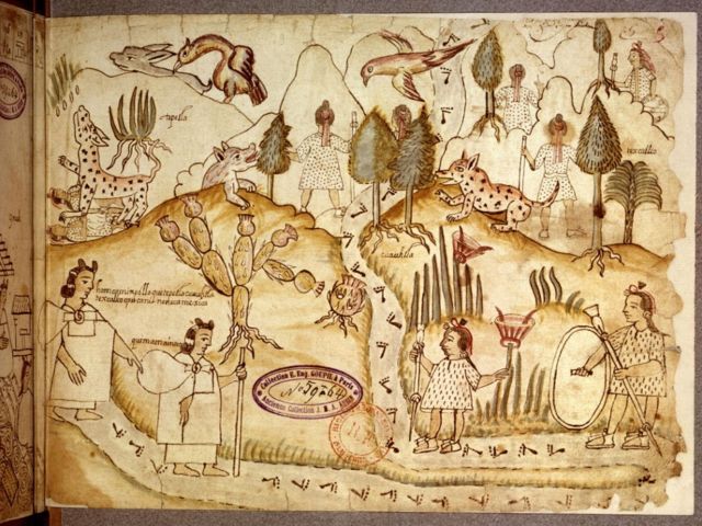 El Códice de Azcatitlán