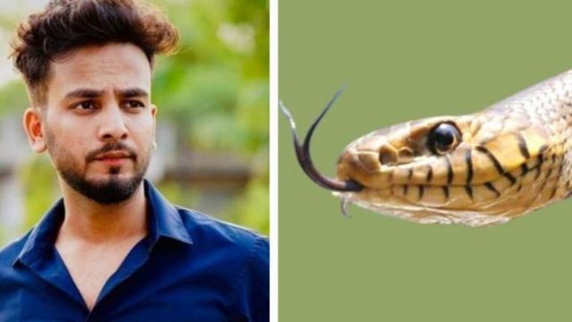 பாம்பு விஷம் ஏன் பயன்படுத்தப்படுகிறது?