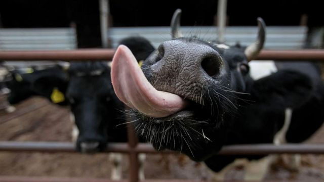 பண்ணைத் தொழிலில் இருந்து வெளியேறும் மீத்தேனை