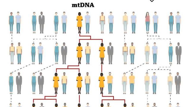 ஏவாள் முதல் பெண்