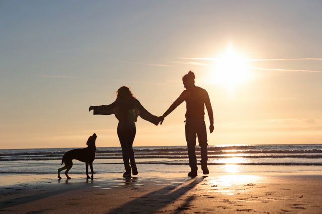 Selon les normes sociales, 'rencontrer le partenaire, se marier, avoir des enfants et un chien' fait partie des ingrédients nécessaires à une vie heureuse.