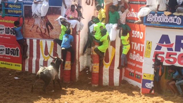 அலங்காநல்லூர் ஜல்லிக்கட்டு