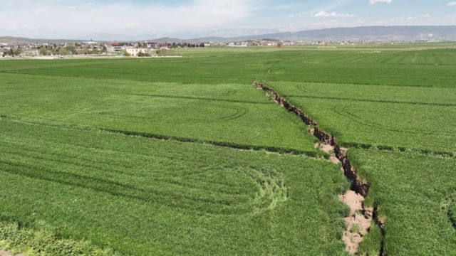 tarım deprem 