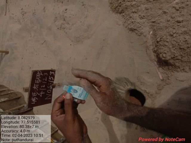 கடல் ஆமைகள் குஞ்சு பொரித்தல்