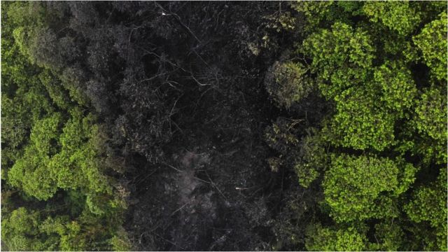 Vista aérea da área afetada após um derramamento de óleo na região amazônica equatoriana em 1º de fevereiro de 2022