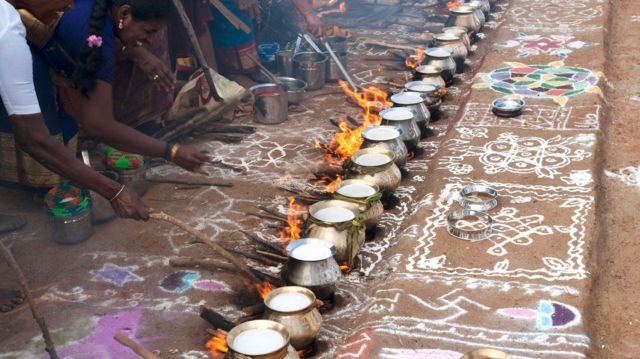 பொங்கலின் வரலாறு