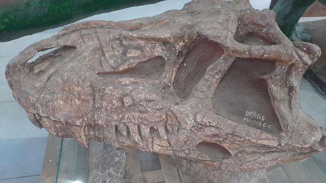 Museu de Paleontologia da UFRGS