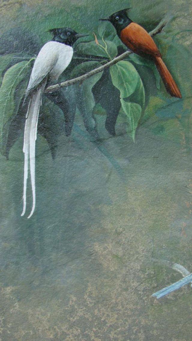 பறவை ஓவியங்கள் - சிவக்குமார்