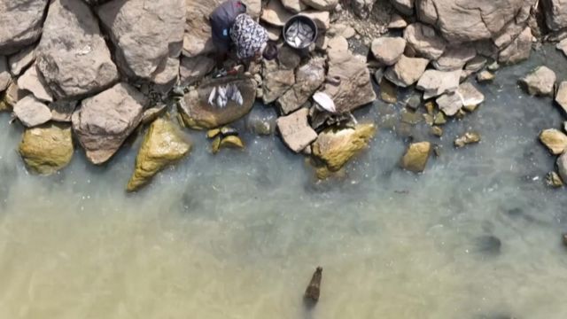 கென்யா ஏரி, முதலைகள், கலநிலை மாற்றம்