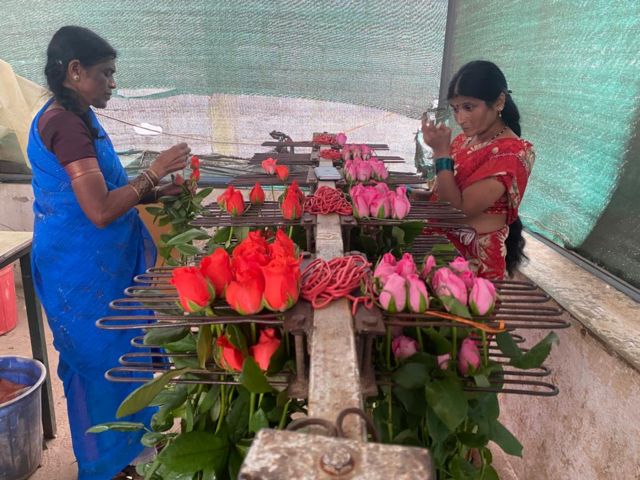 கர்நாடக மலர் சந்தை