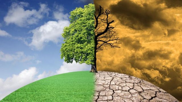 காலநிலை மாற்றம், சுற்றுச்சூழல்