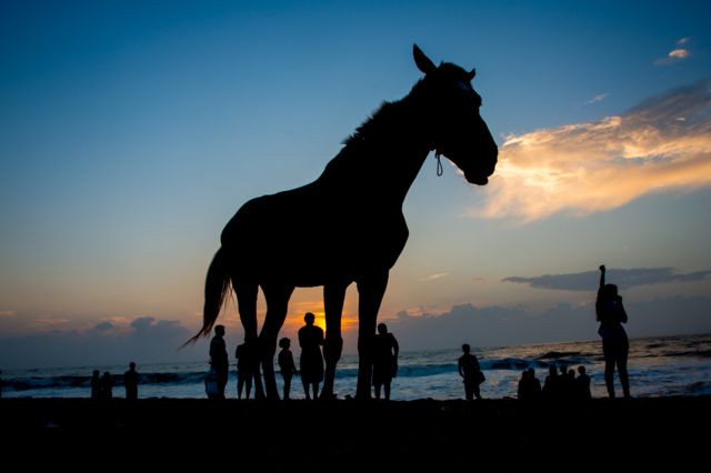 'சிவகாமியின் சபதம்' கதை என்ன?