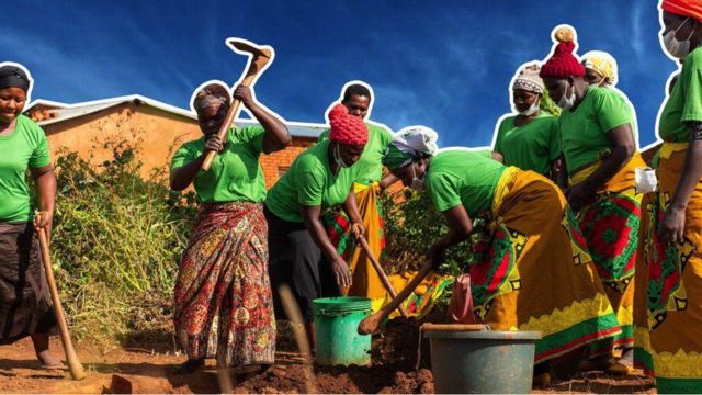 Un collectif de femmes de Choma, au centre du Malawi, s'est réuni pour maîtriser l'art de construire des latrines en encorbellement spécialement conçues à partir de briques.