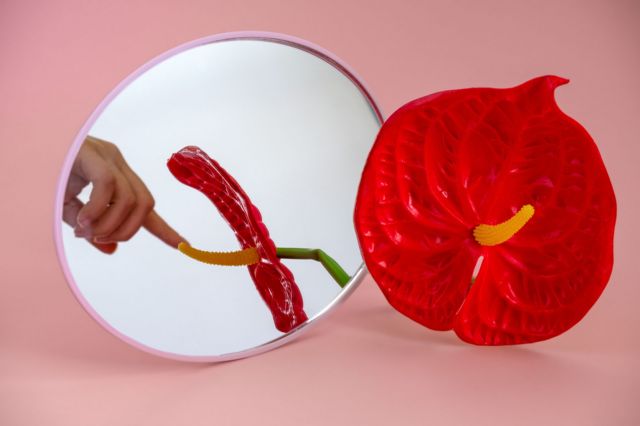 Composición con una flor y un espejo al lado. 