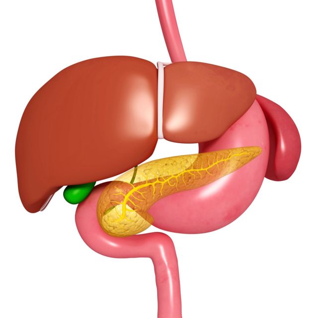 பித்தப்பை புற்றுநோய்