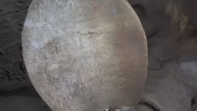 டைட்டானிக் கப்பல்