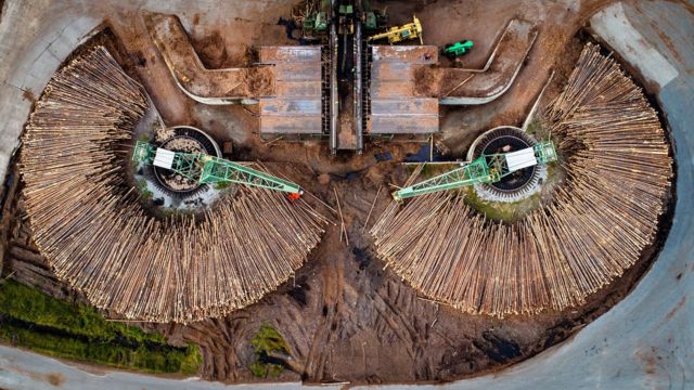 மரத்திலிருந்து உருவாகும் பேட்டரிகள்