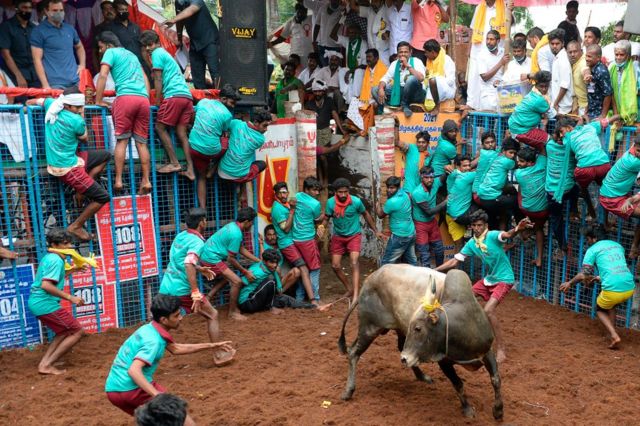 ஜல்லிக்கட்டு பரிசு வரலாறு