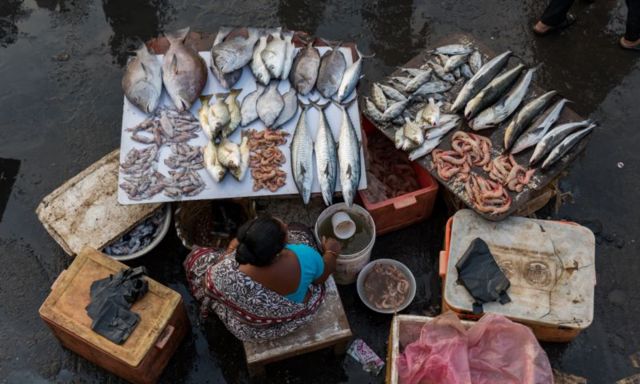 நொச்சிக்குப்பம்