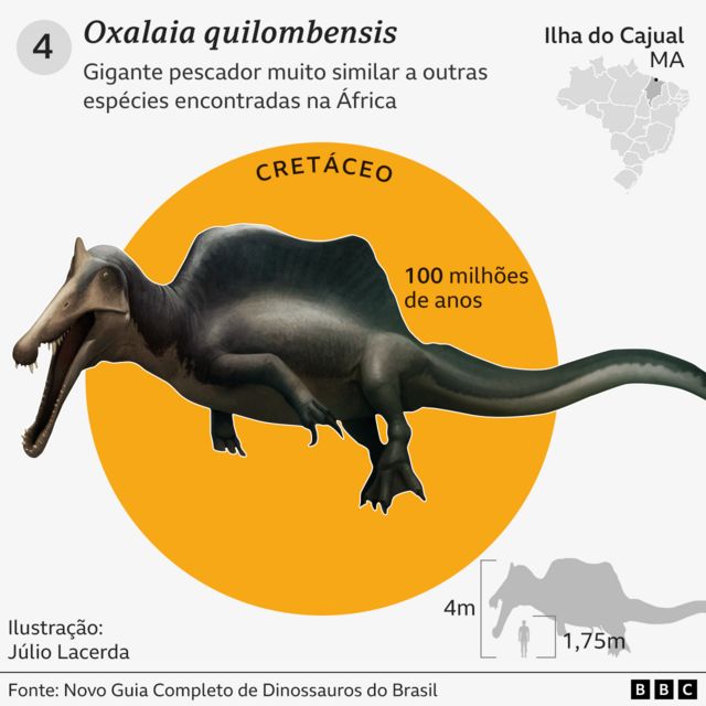 Dinossauro carnívoro brasileiro revelado por meio de fóssil