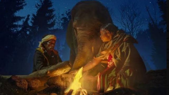 யானை பராமரிப்பு தம்பதி பொம்மன் பெள்ளி