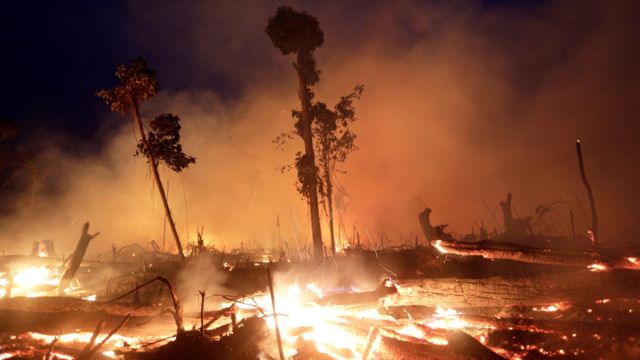 Fogo em Machadinho do Oeste (RO), dentro da Floresta Amazônica