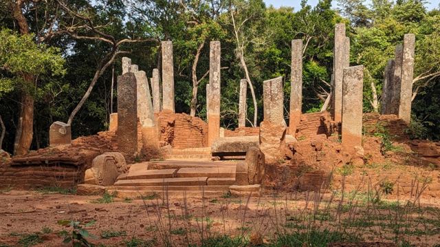 இலங்கை இந்து-பௌத்தர் பிரச்னை