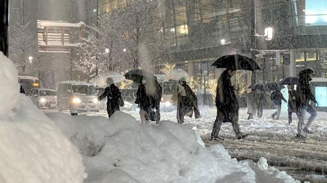 Japonya''da yoğun kar yağışı: 17 ölü, 90''dan fazla yaralı - BBC News Türkçe