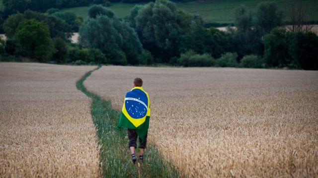 Homem caminha ao longo do caminho no campo de milho envolto na bandeira do Brasil.