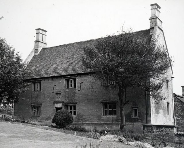 ஐசாக் நியூட்டன் தலையில் ஆப்பிள் விழவே இல்லையா? ஈர்ப்பு விசையை எப்படி கண்டுபிடித்தார்?