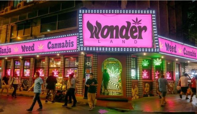 தாய்லாந்து, கஞ்சா, போதைப்பொருள்