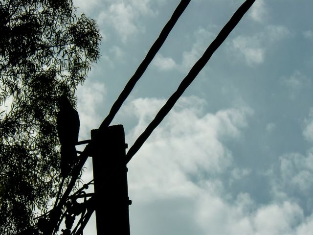 42 குழந்தைகளை கடத்திக் கொலை செய்த 3 பெண்கள்: நெஞ்சை உறைய வைக்கும் கொடூரம்