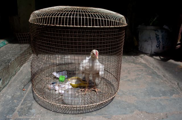 வட சென்னை புகைப்படங்கள்