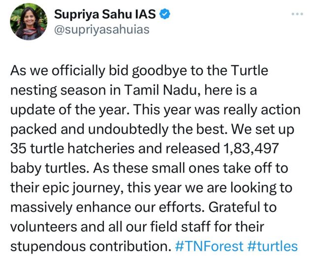 கடல் ஆமைகள் குஞ்சு பொரித்தல்