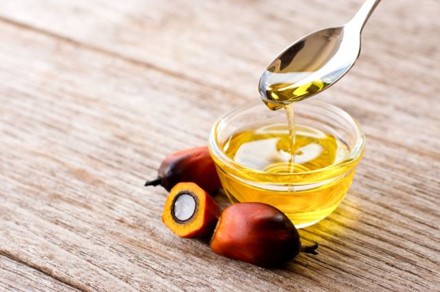 பாமாயில், உணவு, ஆராய்ச்சி, பூமி, சுற்றுச்சூழல்