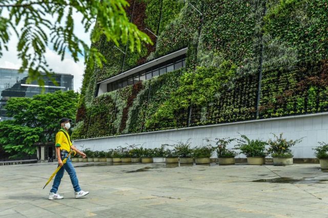 Un hombre camina cerca del jardín vertical de un edificio en el sector de la Alpujarra en el centro de Medellín