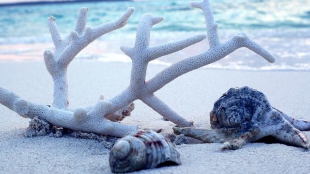 லட்சத்தீவுகள் பயணம், அதன் உணவுகள், சுற்றுலாத்தலங்கள்