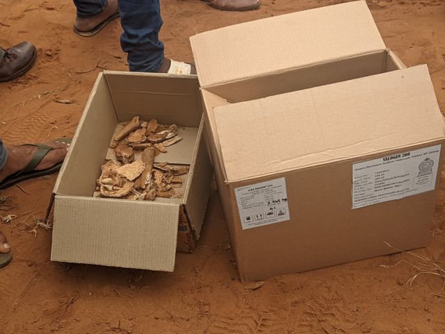 மனித எச்சங்கள்